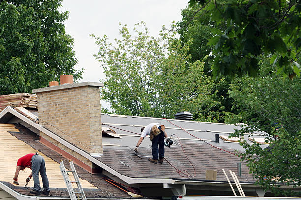 Best Flat Roof Repair Services  in The Hammocks, FL