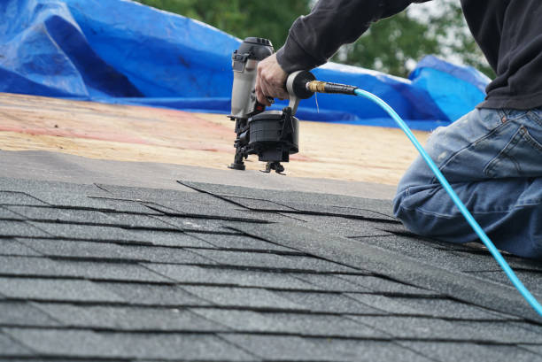Best Residential Roofing Contractor  in The Hammocks, FL