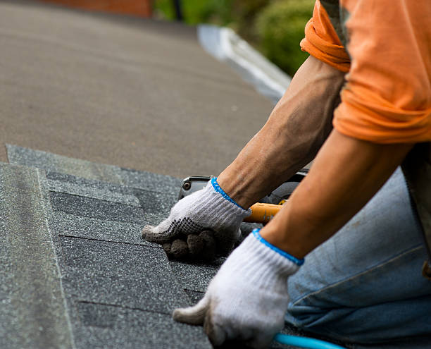 Best Residential Roofing Contractor  in The Hammocks, FL