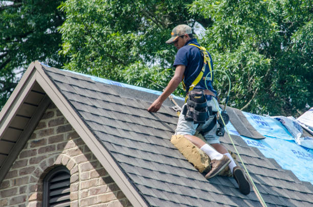 Best Metal Roofing Contractor  in The Hammocks, FL